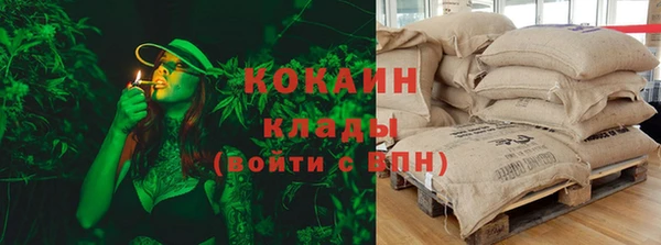 дмт Касимов