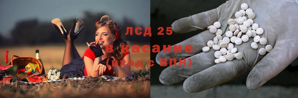 дмт Касимов