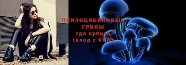 дмт Касимов