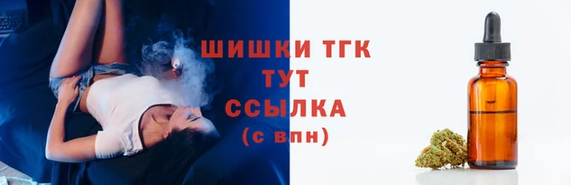 дмт Касимов