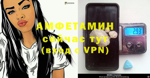 дмт Касимов